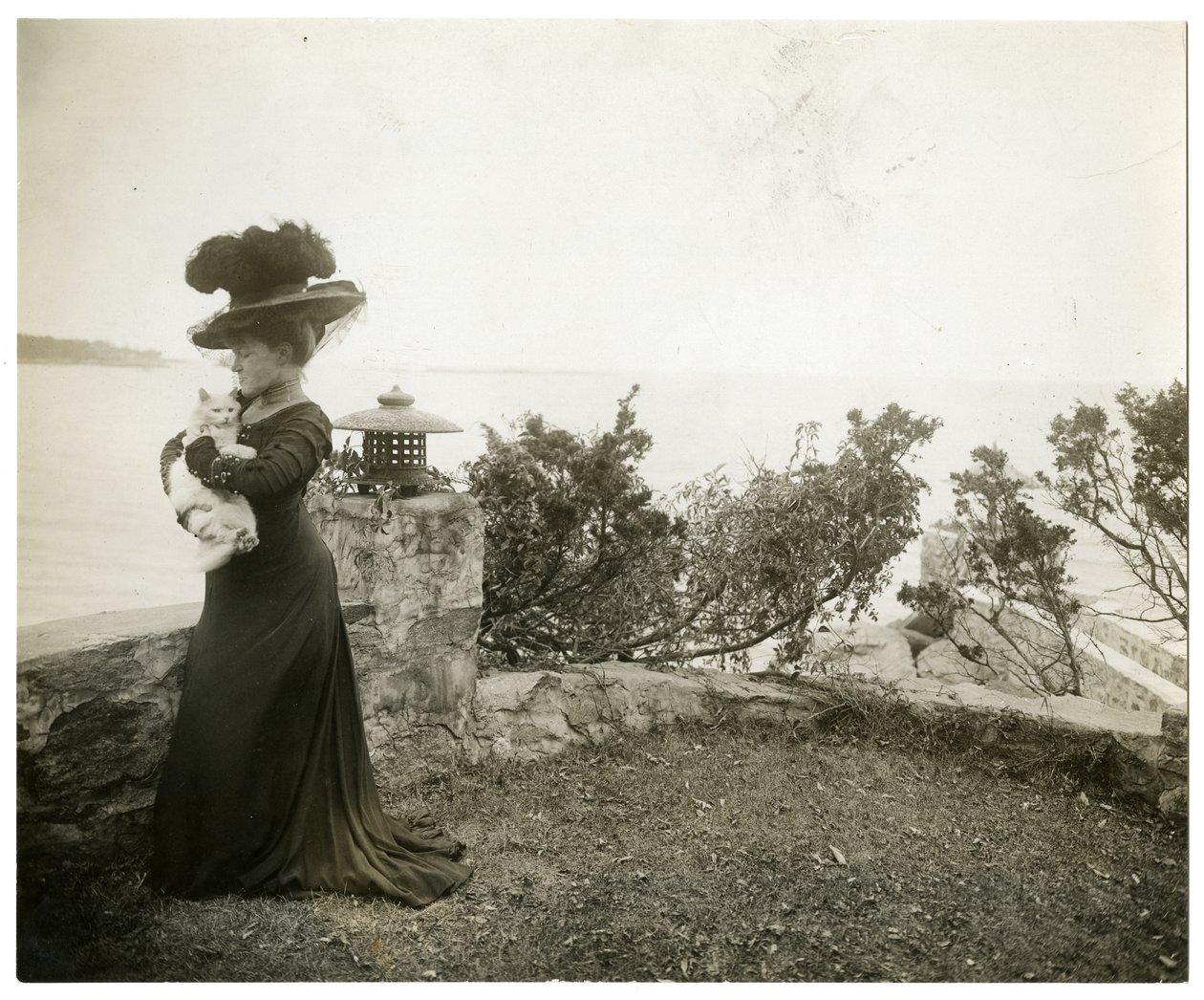 Ella Wheeler Wilcox em Sound Beach, Conn, c.1905-11 (foto em prata gelatina) de Jessie Tarbox Beals