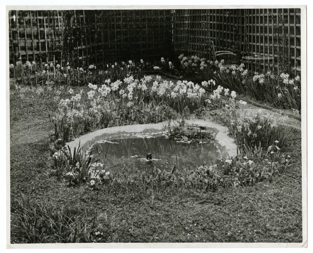 Jardim do Sr. e Sra. Wm H Wells 265 W 11th St, Nova York, EUA de Jessie Tarbox Beals