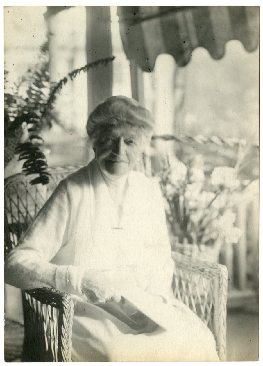 Sra. L D James de Williamsburg Massachusetts, irmã de Marshall Field, c.1905-28 (foto em prata gelatina) de Jessie Tarbox Beals