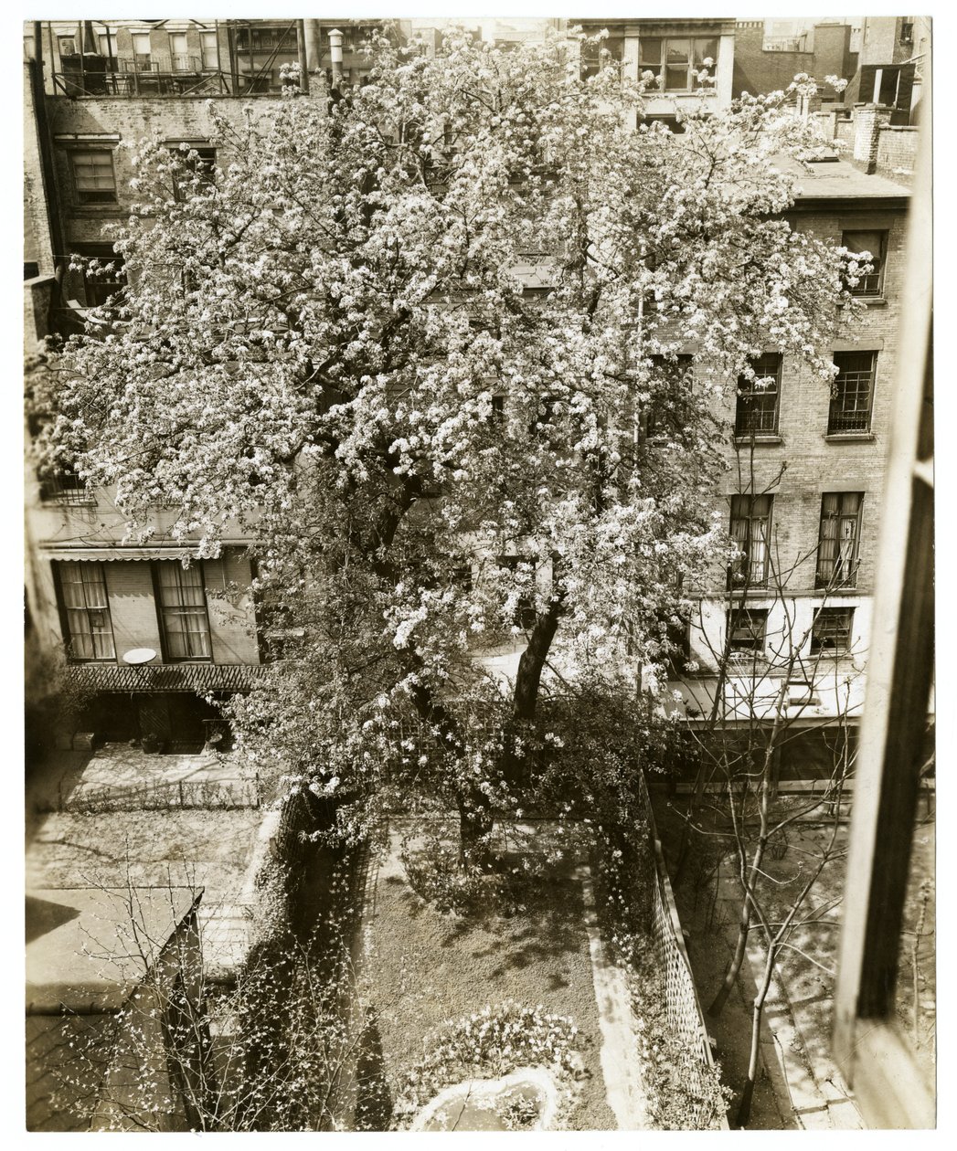 Sra. W H Wells 265 W 11th de Jessie Tarbox Beals