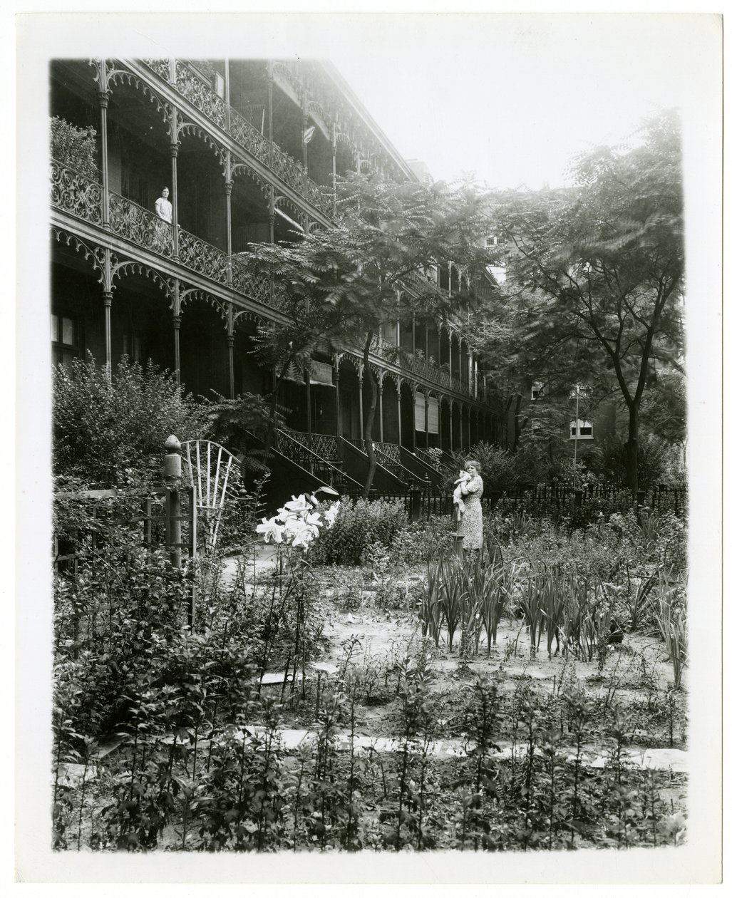 Rhinelander House gardens, W 11th St , Greenwich Village, New York, EUA, c.1905-38 (foto em prata gelatina) de Jessie Tarbox Beals