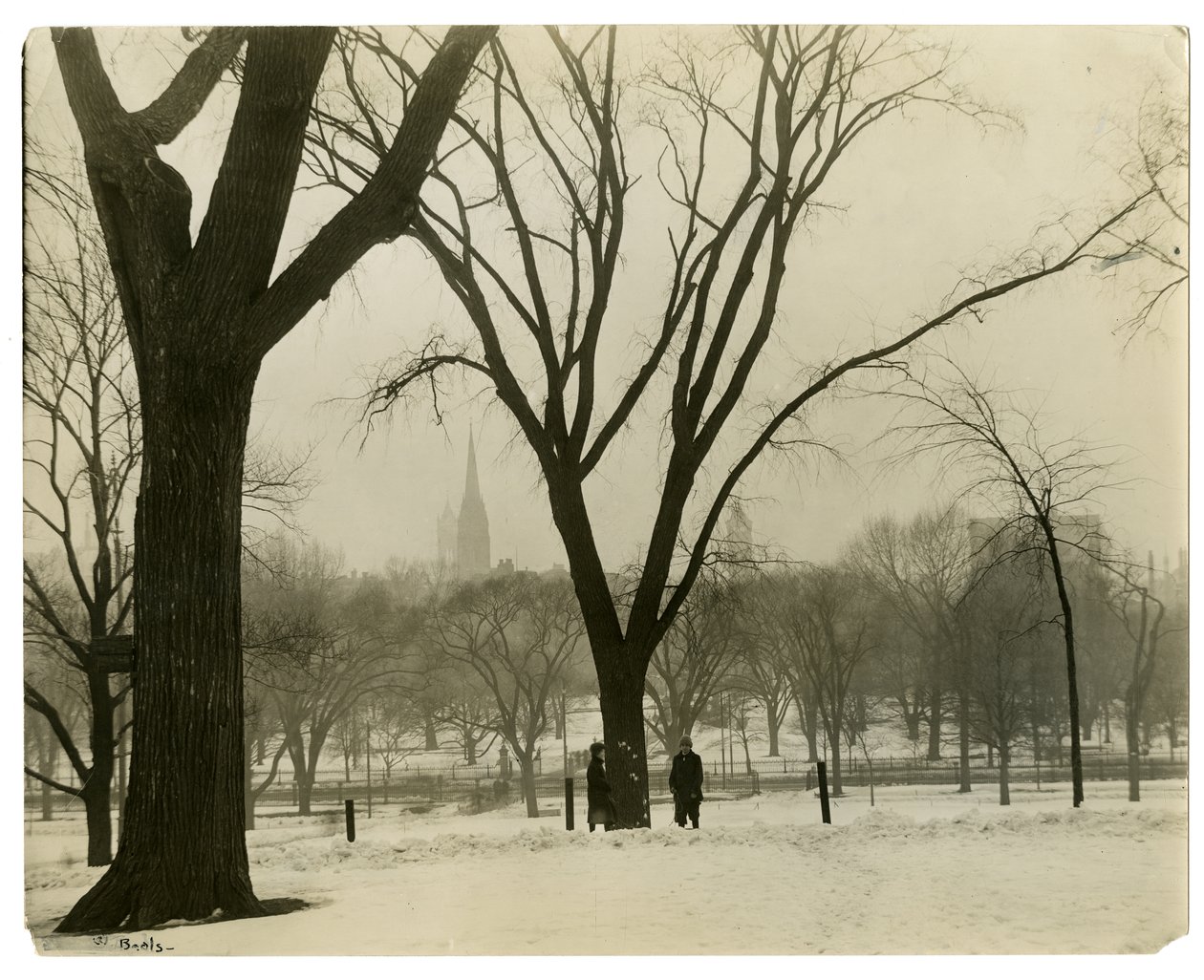 The Common, Boston, EUA, c.1902-10 (foto em prata gelatina) de Jessie Tarbox Beals