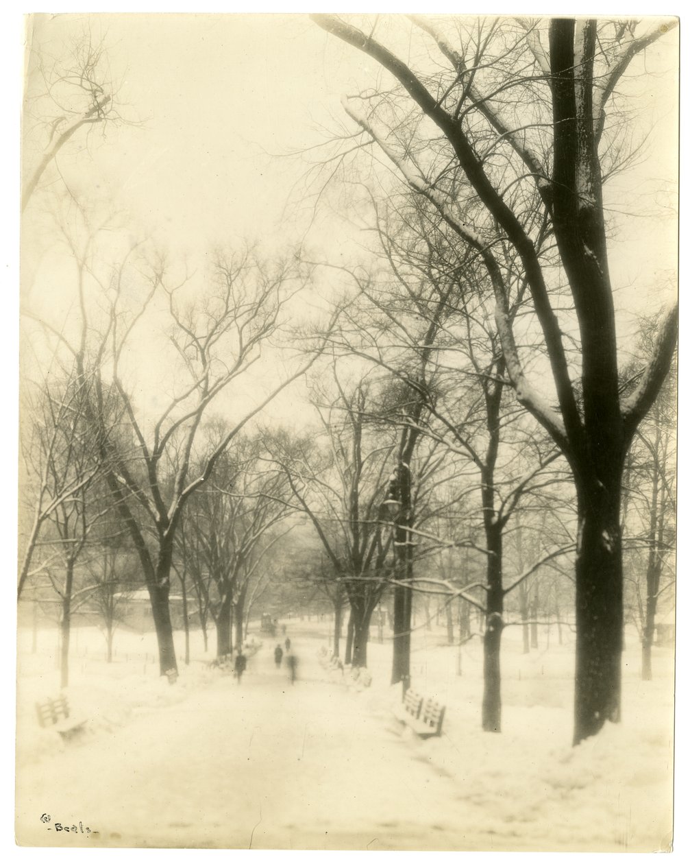 The Common, Boston, EUA, c.1902-10 (foto em prata gelatina) de Jessie Tarbox Beals