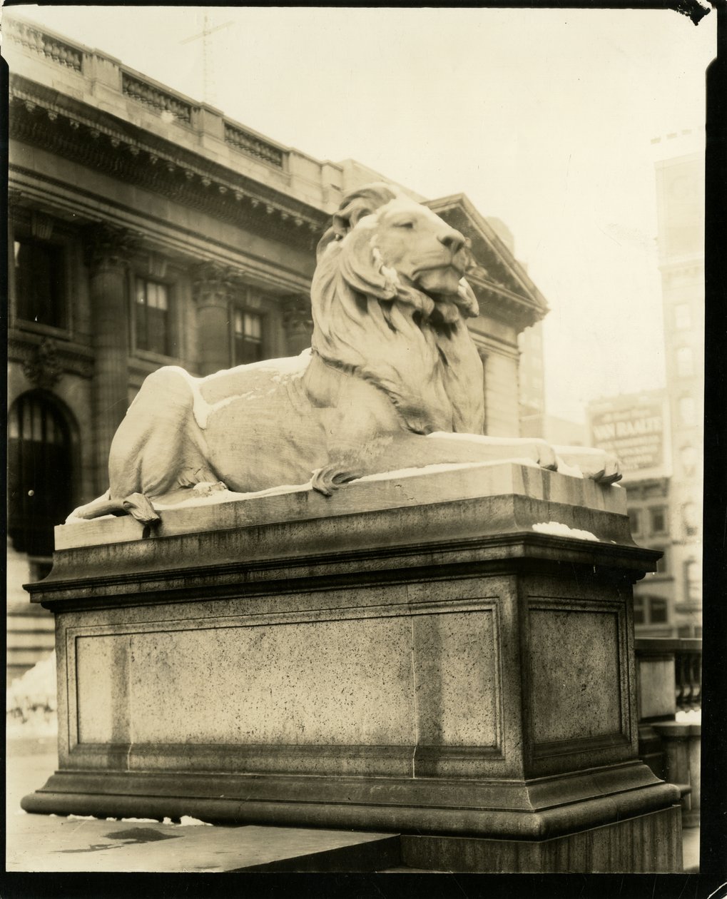 O leão altivo em frente à Biblioteca Ele entende Gertrude Steinish, Nova York, EUA, c.1905-40 (foto em prata gelatina) de Jessie Tarbox Beals