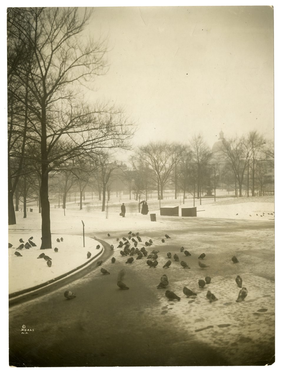 Frio incomum no Common, Boston, EUA, c.1902-10 (foto gelatina prateada) de Jessie Tarbox Beals