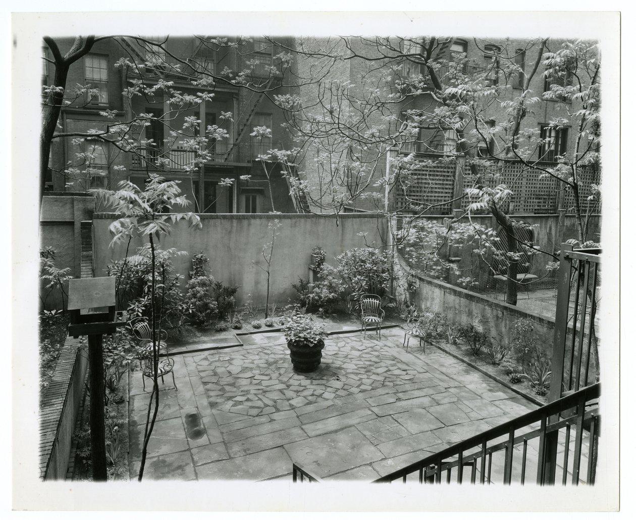 pátio traseiro com casa de pássaros, Nova Iorque, EUA, c.1905-40 (foto em prata gelatina) de Jessie Tarbox Beals