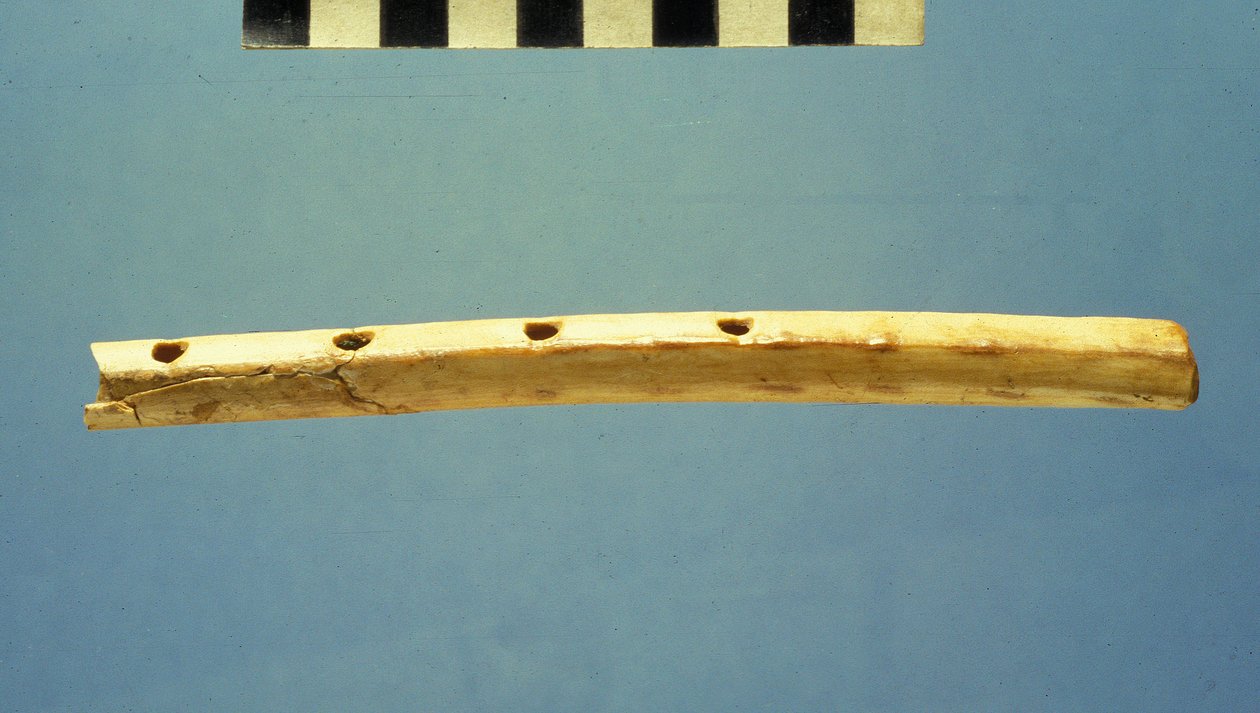 Flauta, cidade de Davi, c.799-600 aC (osso) de Jewish School