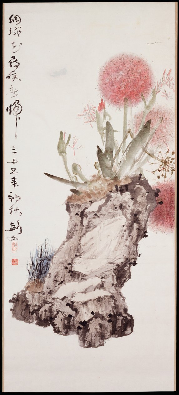 Hortênsia e Rocha de Jianfu Gao