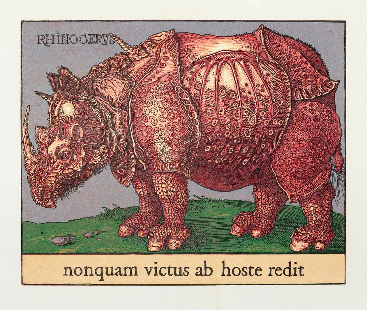 Rinoceronte Vermelho, 2007 (xilogravura) de Jim Monson