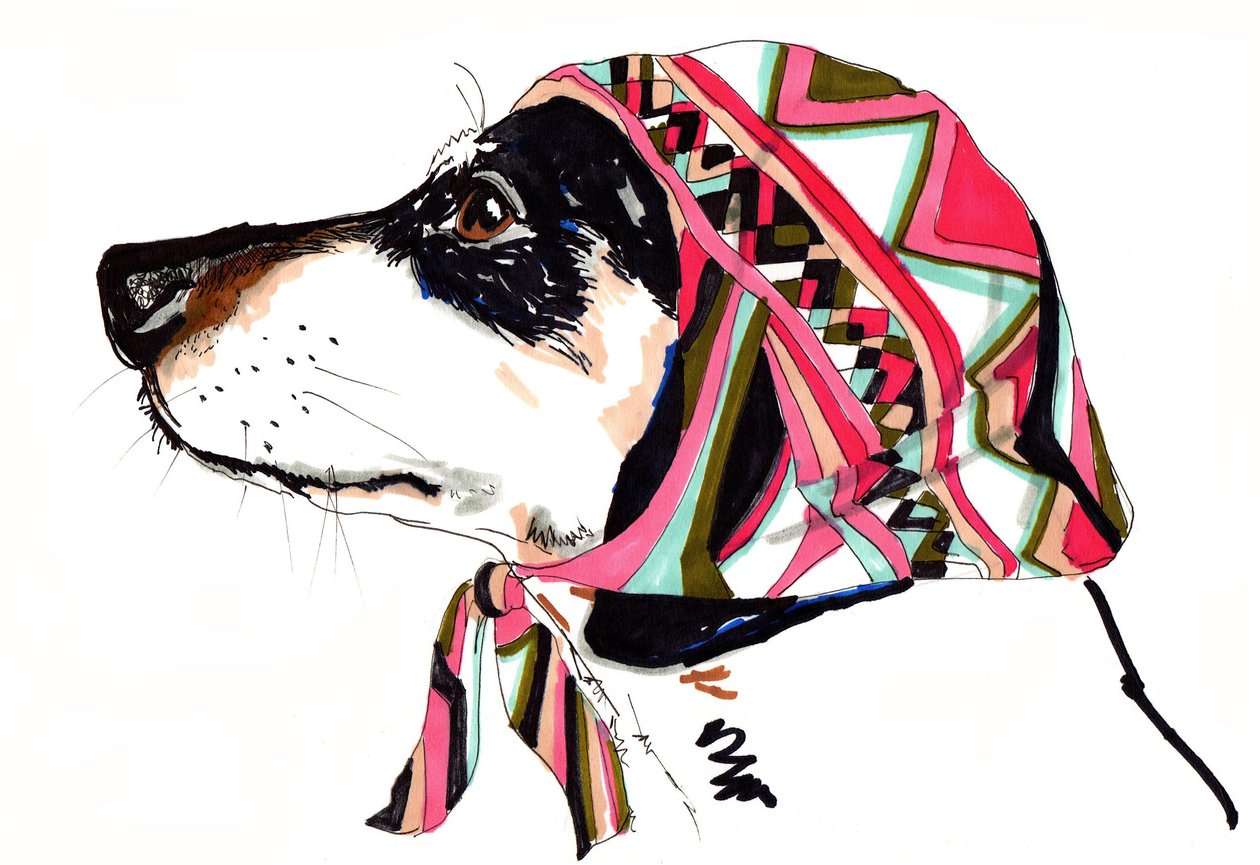 Pooch In Pucci, 2012 (caneta e tinta no papel) de Jo Chambers