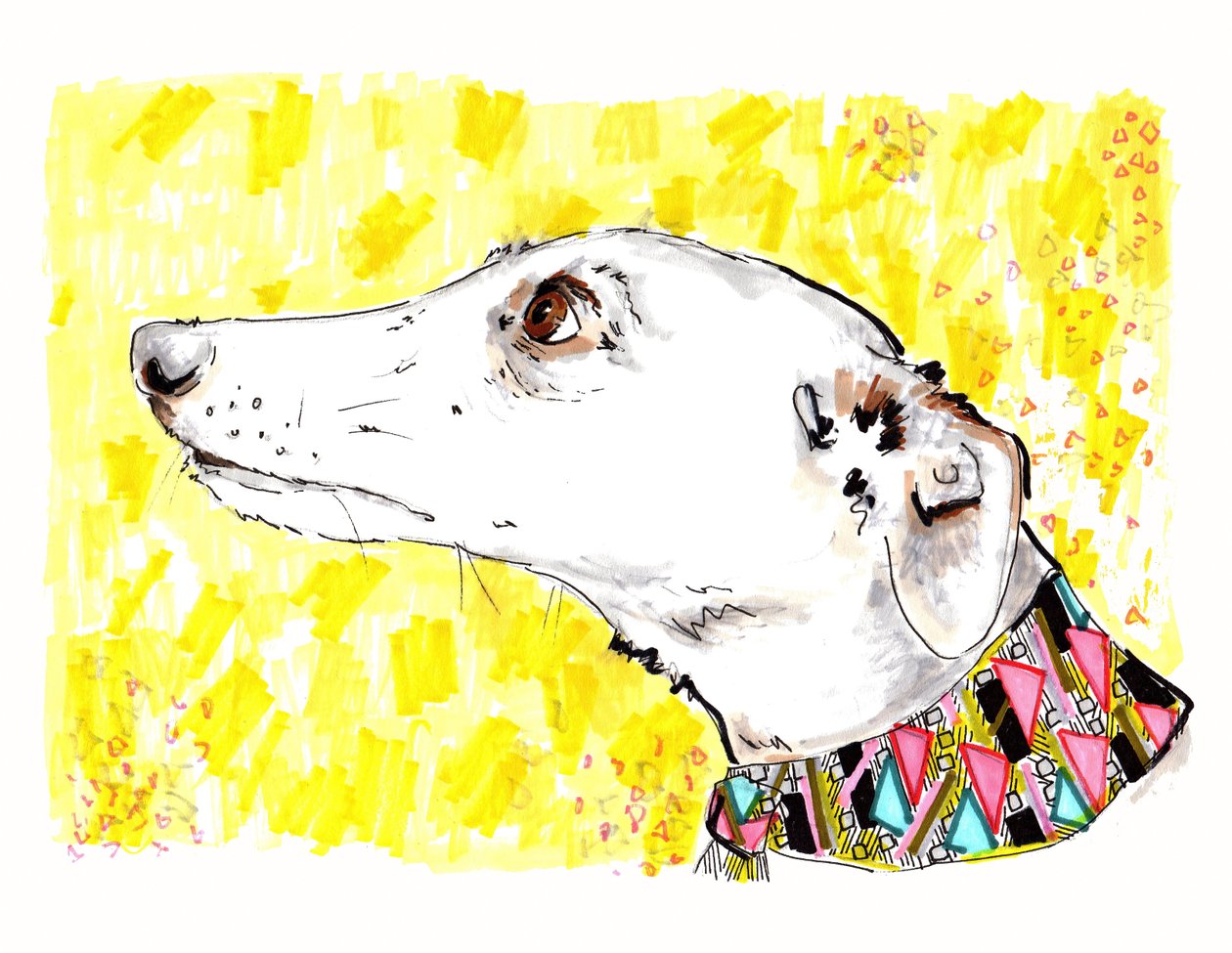 Silvertips The Greyhound, 2012 (caneta e tinta no papel) de Jo Chambers