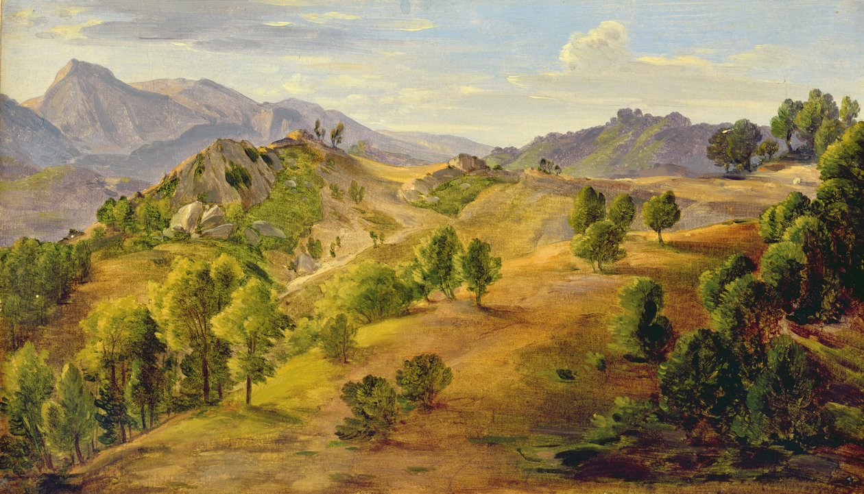 O Serpentara em Olevano, c.1824 (óleo sobre papel colocado a bordo) de Joachim Faber