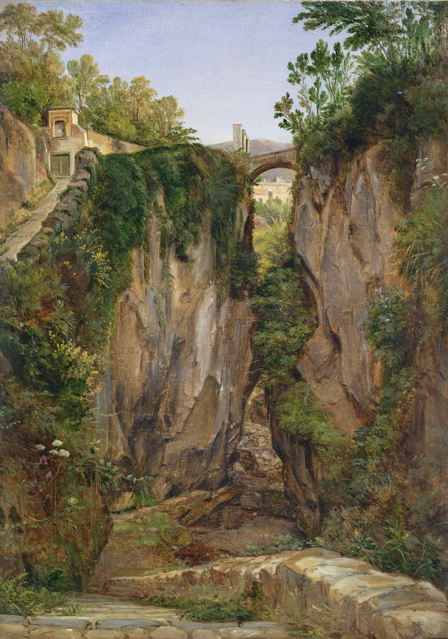 Um vale rochoso em Sorrento, 1823 (óleo sobre papel montado no cartão) de Joachim Faber