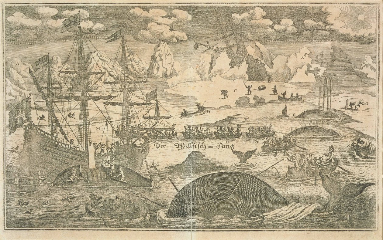 A pesca da baleia de Joachim Wichmann