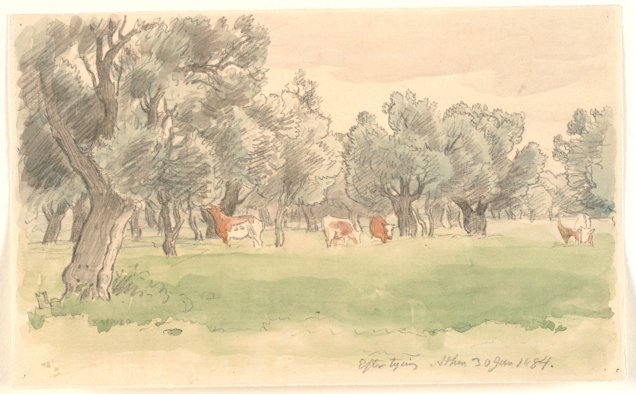Paisagem grega com oliveiras e pastoreio de gado corado de Joakim Frederik Skovgaard