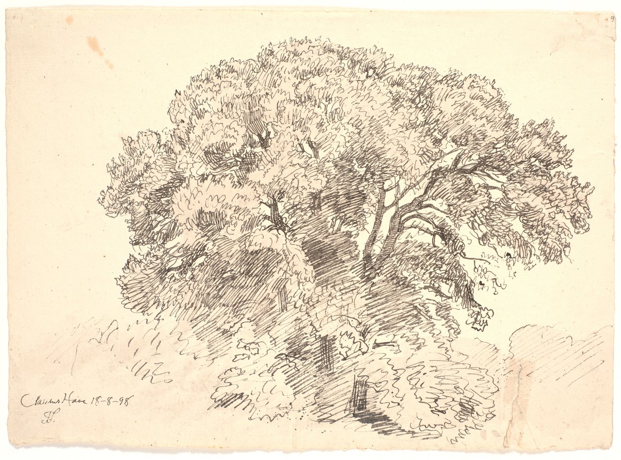 Estudo das árvores. Jardim de Classen de Joakim Frederik Skovgaard
