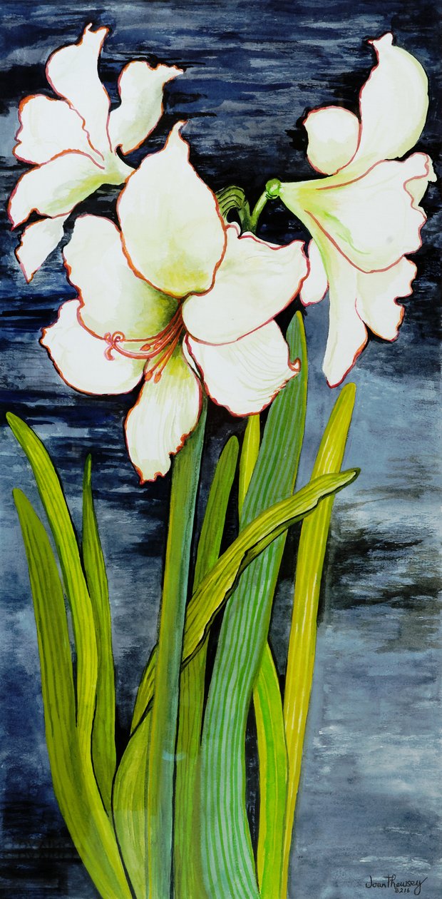 Amaryllis contra um céu noturno de Joan Thewsey