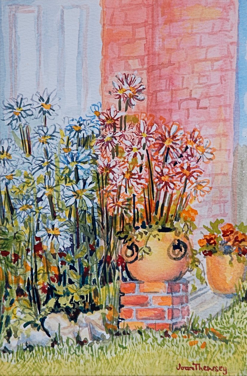 Marguerites no jardim da casa de campo de Joan Thewsey