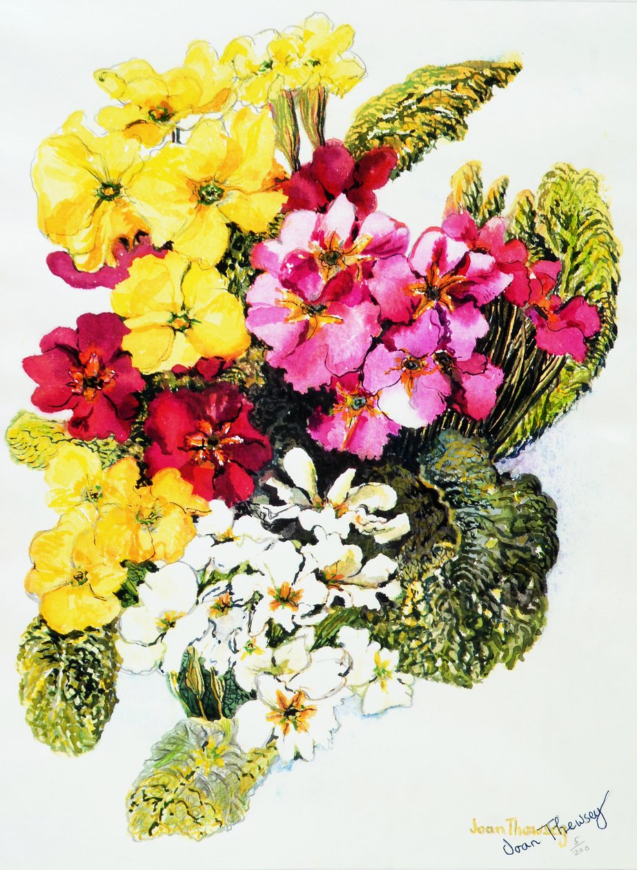 Prímulas, Branco, Amarelo, Rosa e Vermelho, 2000, de Joan Thewsey