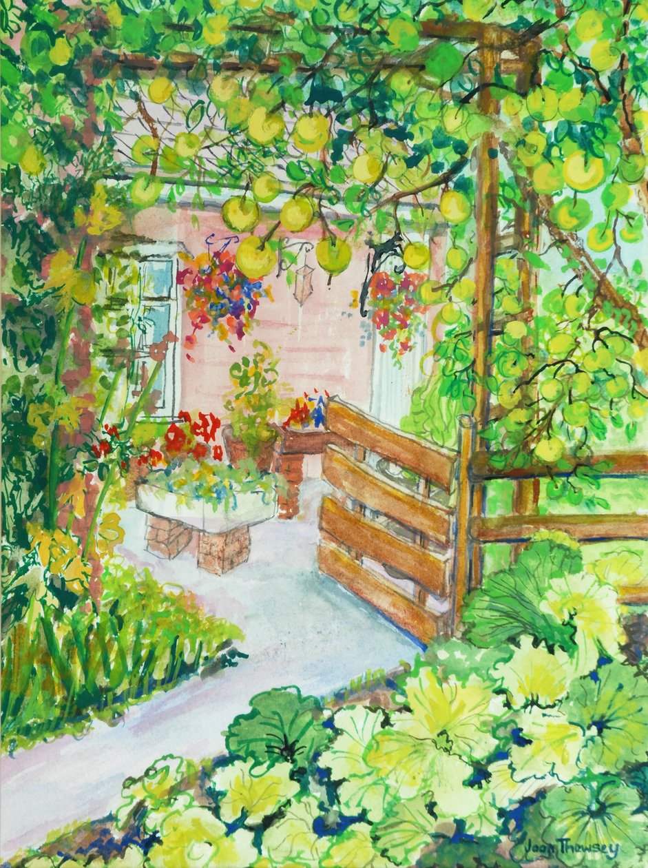 Ruibarbo e Maçãs, Red Cottage Studios Suffolk, 2011, aquarela de Joan Thewsey
