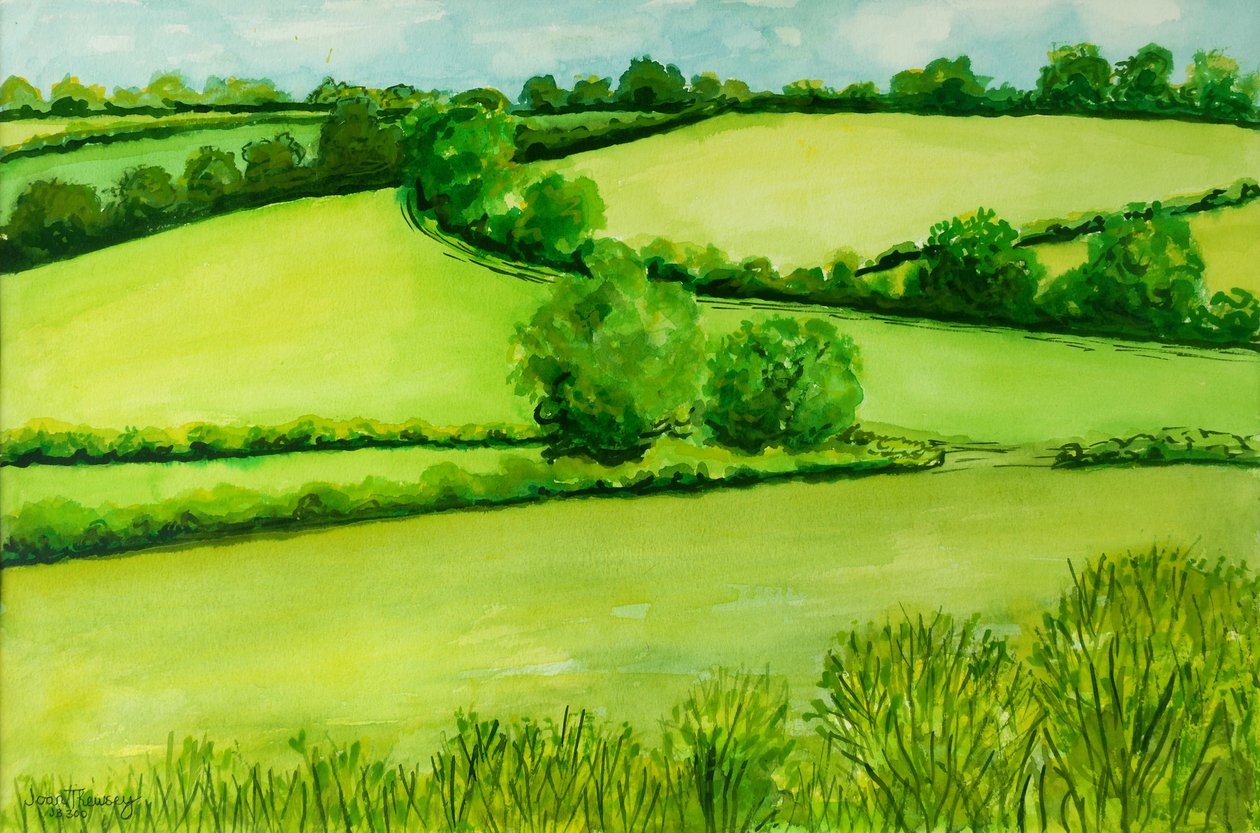 Paisagem de Verão, 2010, cor de água de Joan Thewsey