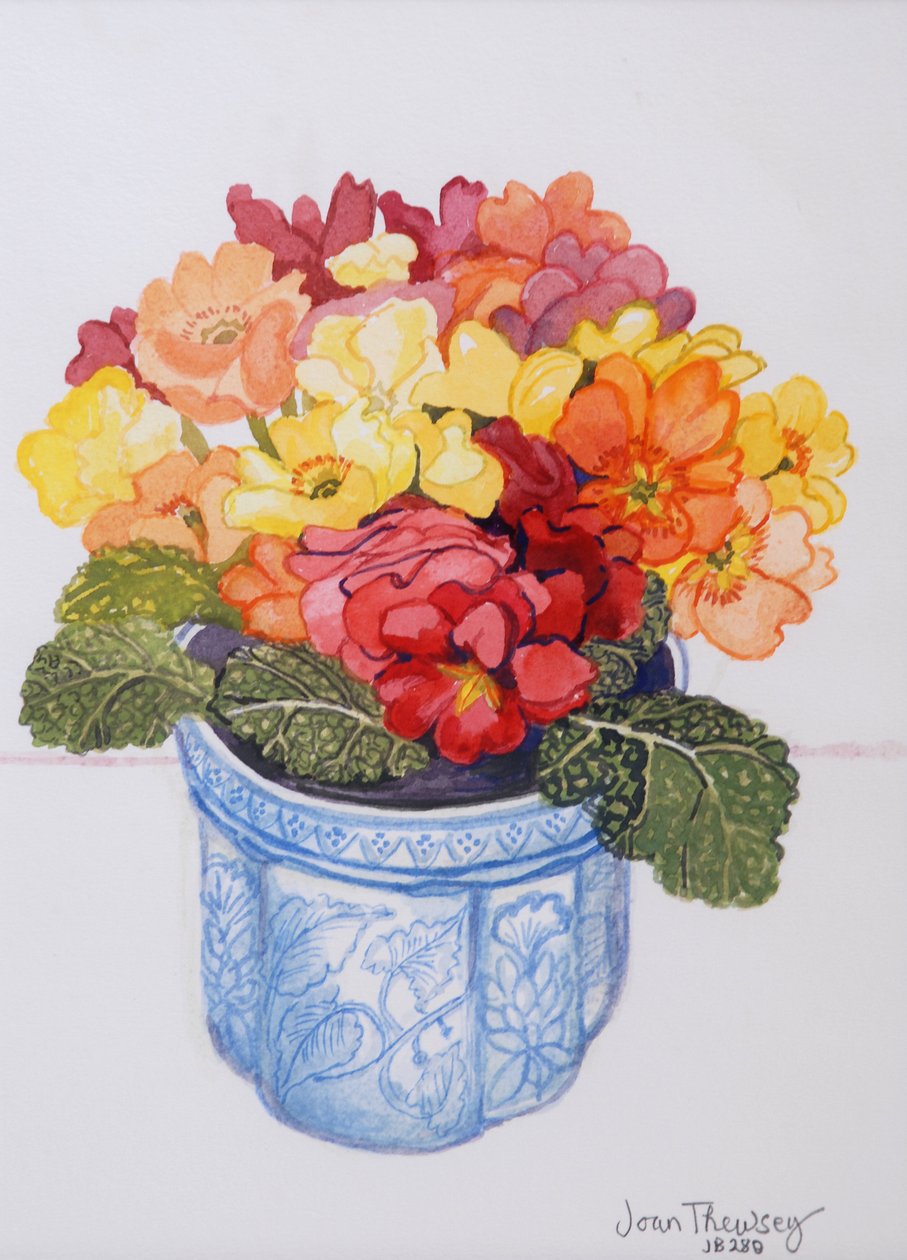 A prímula multicolorida 2011 (aquarela sobre papel) de Joan Thewsey