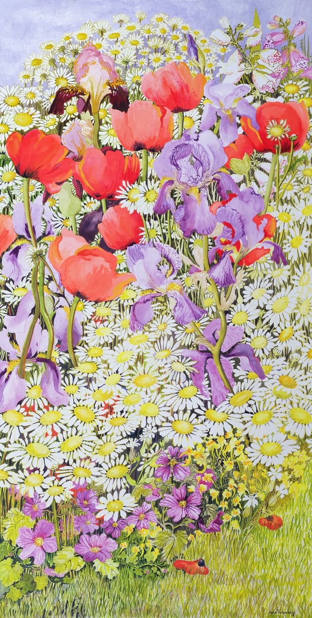 Conservação de Flor Selvagem; Fronteira Jardim de Joan Thewsey