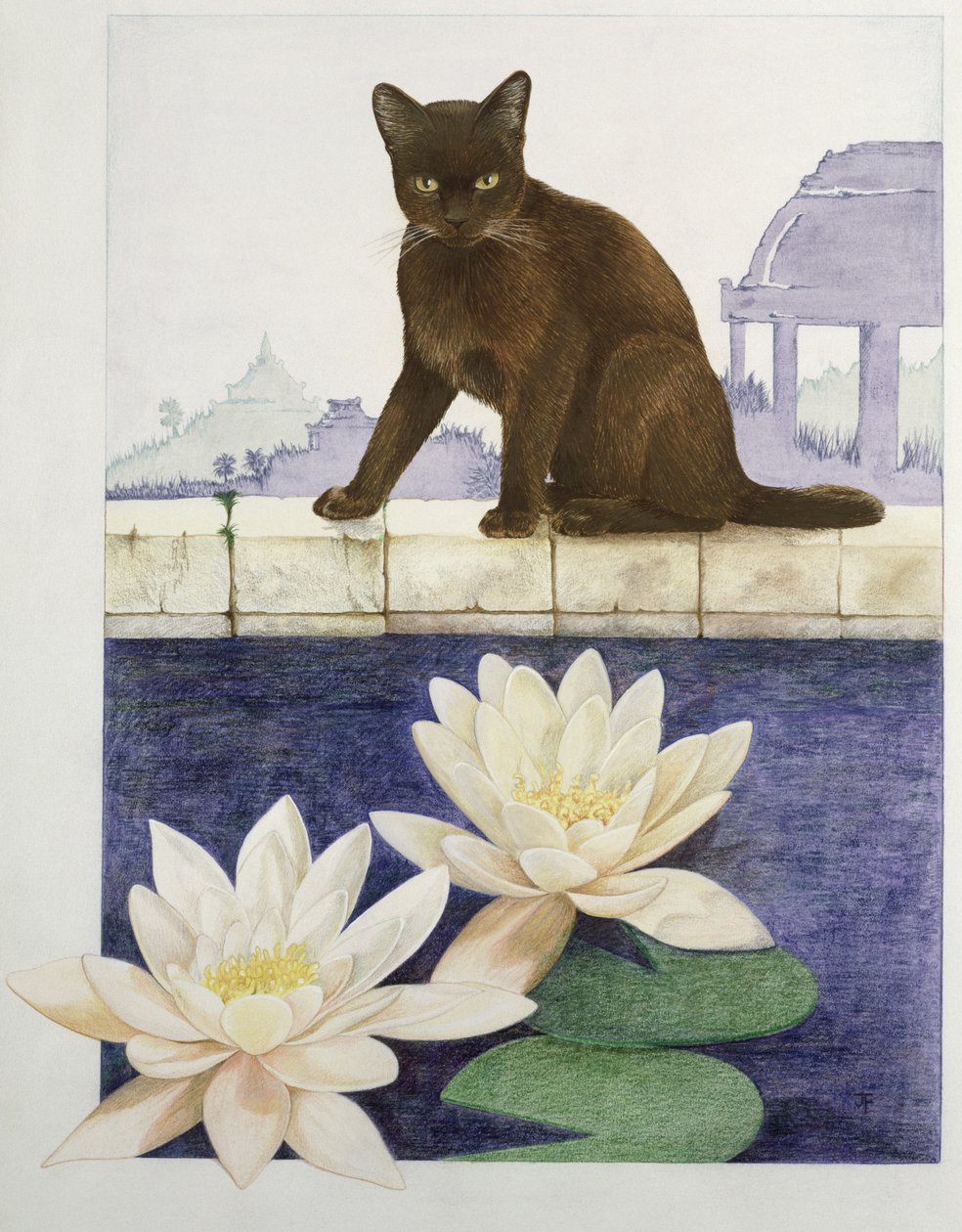 birmanês de Joan Freestone