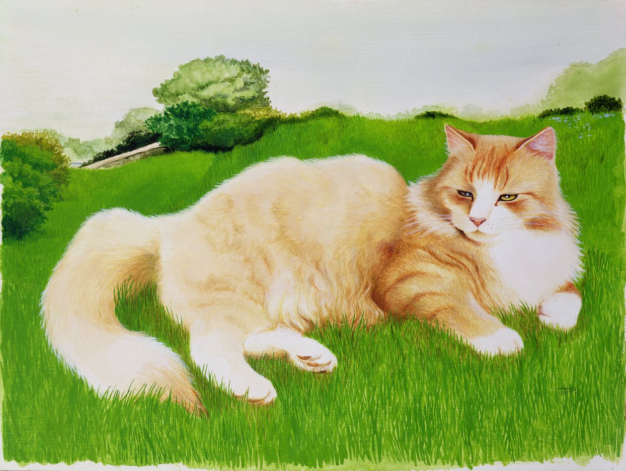 Ginger Cat em campo de Joan Freestone