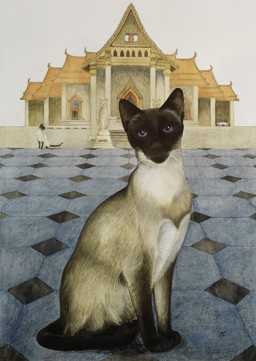 Siamês de Joan Freestone