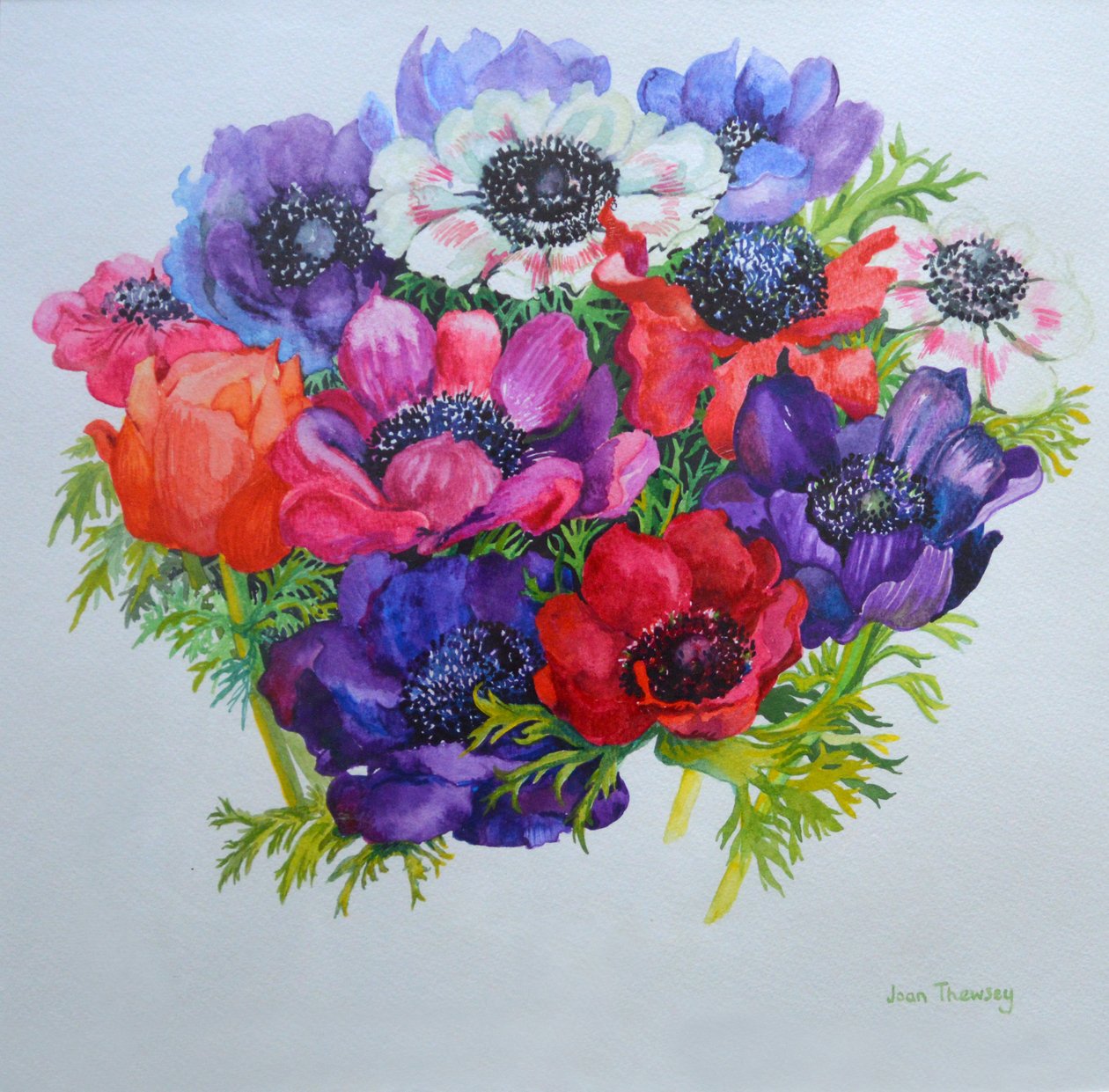 Anêmonas: vermelho, branco, rosa e roxo, 2000, de Joan Thewsey