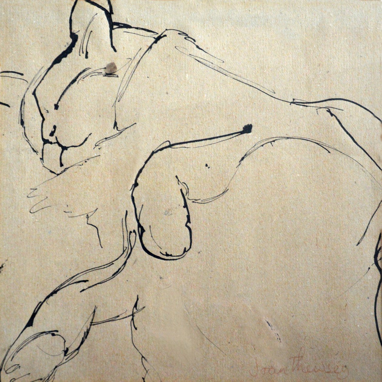 Gato, Mouser, 1980, (caneta e tinta) de Joan Thewsey