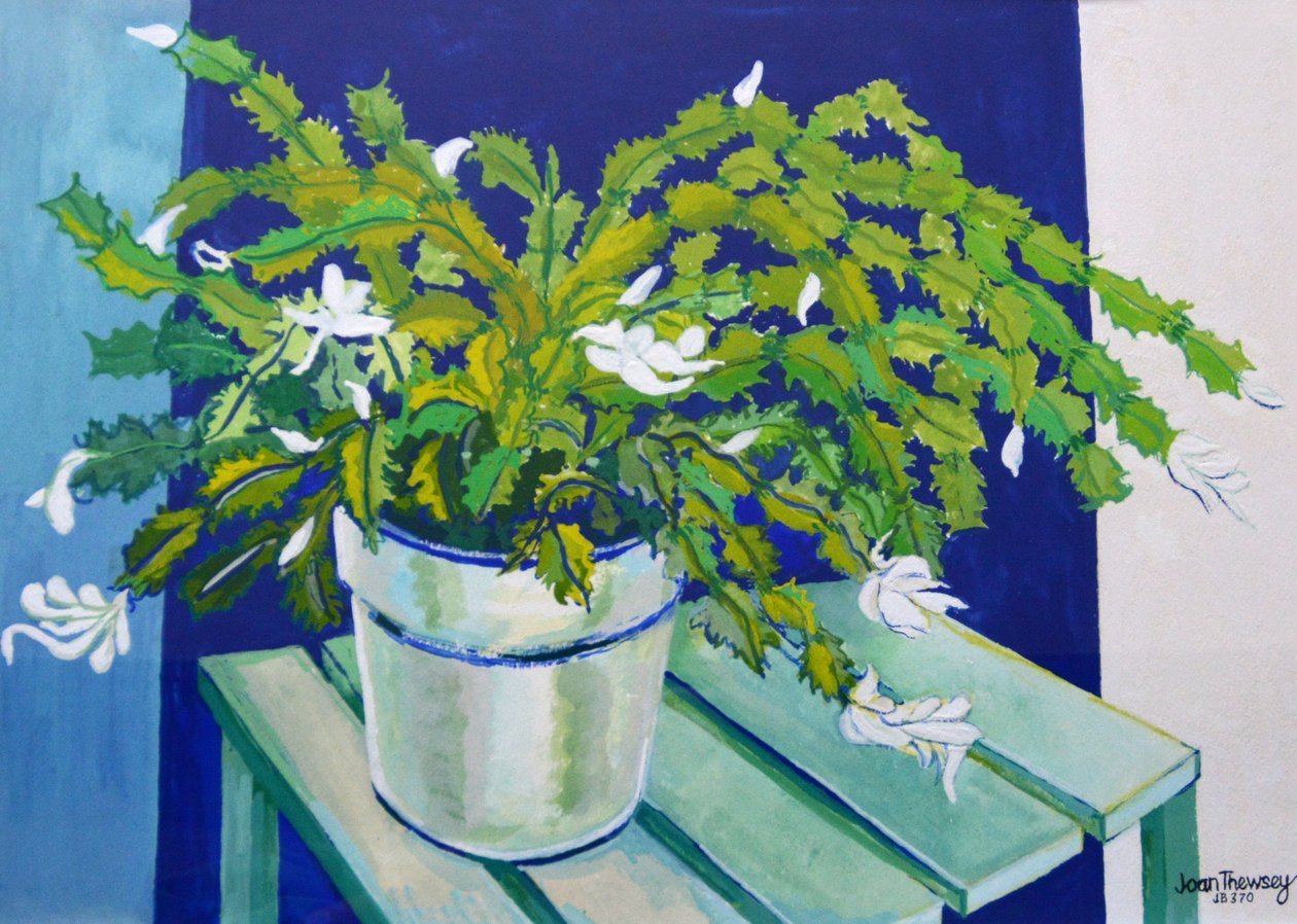 Cacto de Natal, 2000 (guache) de Joan Thewsey