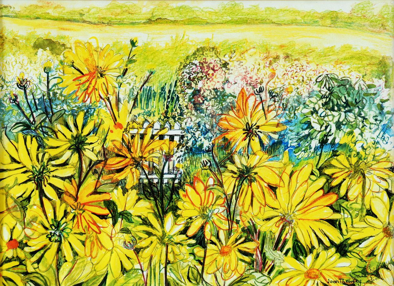 Portão Cottage visto através de Sun Daisies, 2005, (cor de água) de Joan Thewsey