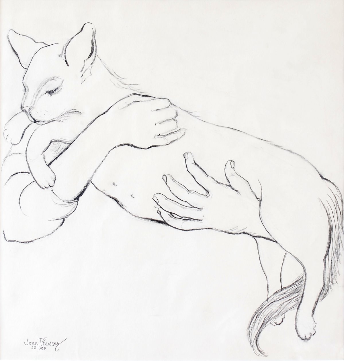 Gato fofinho, 2000, (lápis) de Joan Thewsey
