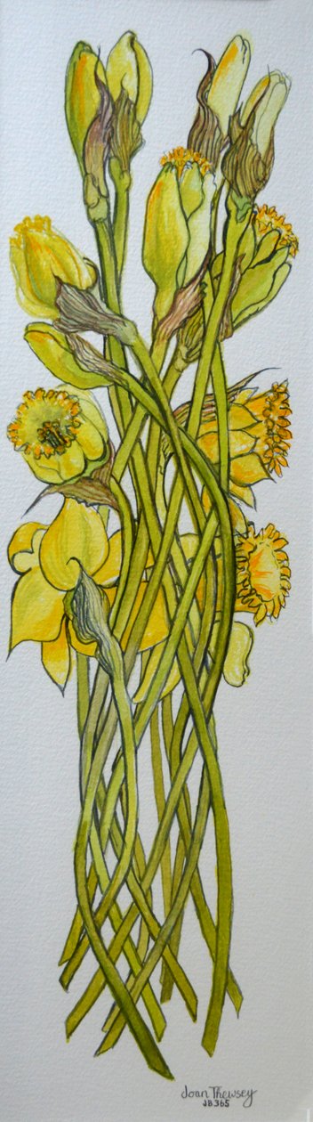 Narcisos, 2008, de Joan Thewsey