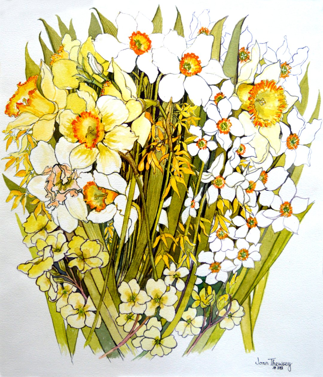 Narcisos, Narciso, Forsítia e Prímulas, 2000 de Joan Thewsey