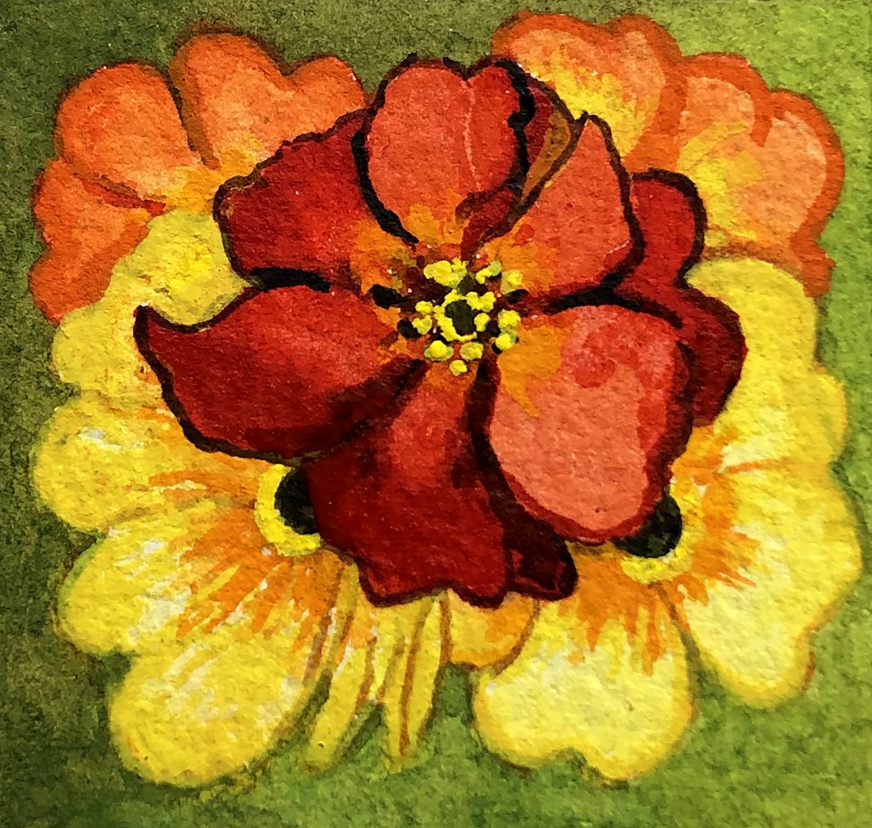 Cinco Primroses, vermelho, amarelo e laranja (aguarela) de Joan Thewsey
