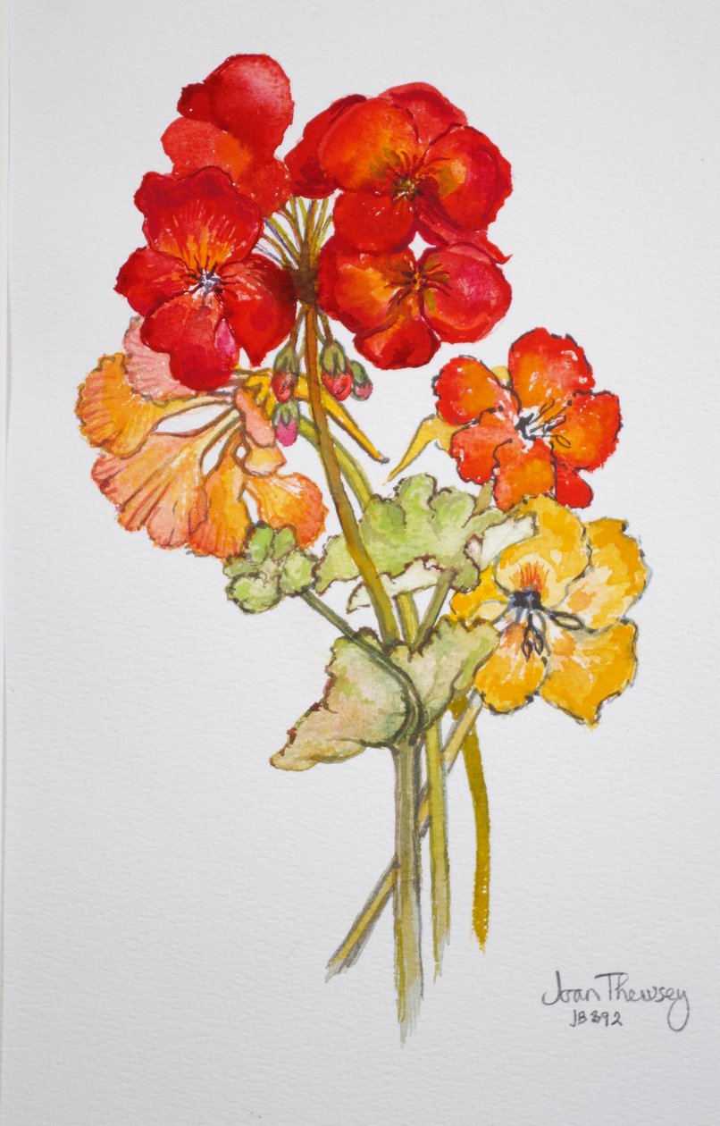 Gerânio e chagas, 2014, aquarela de Joan Thewsey