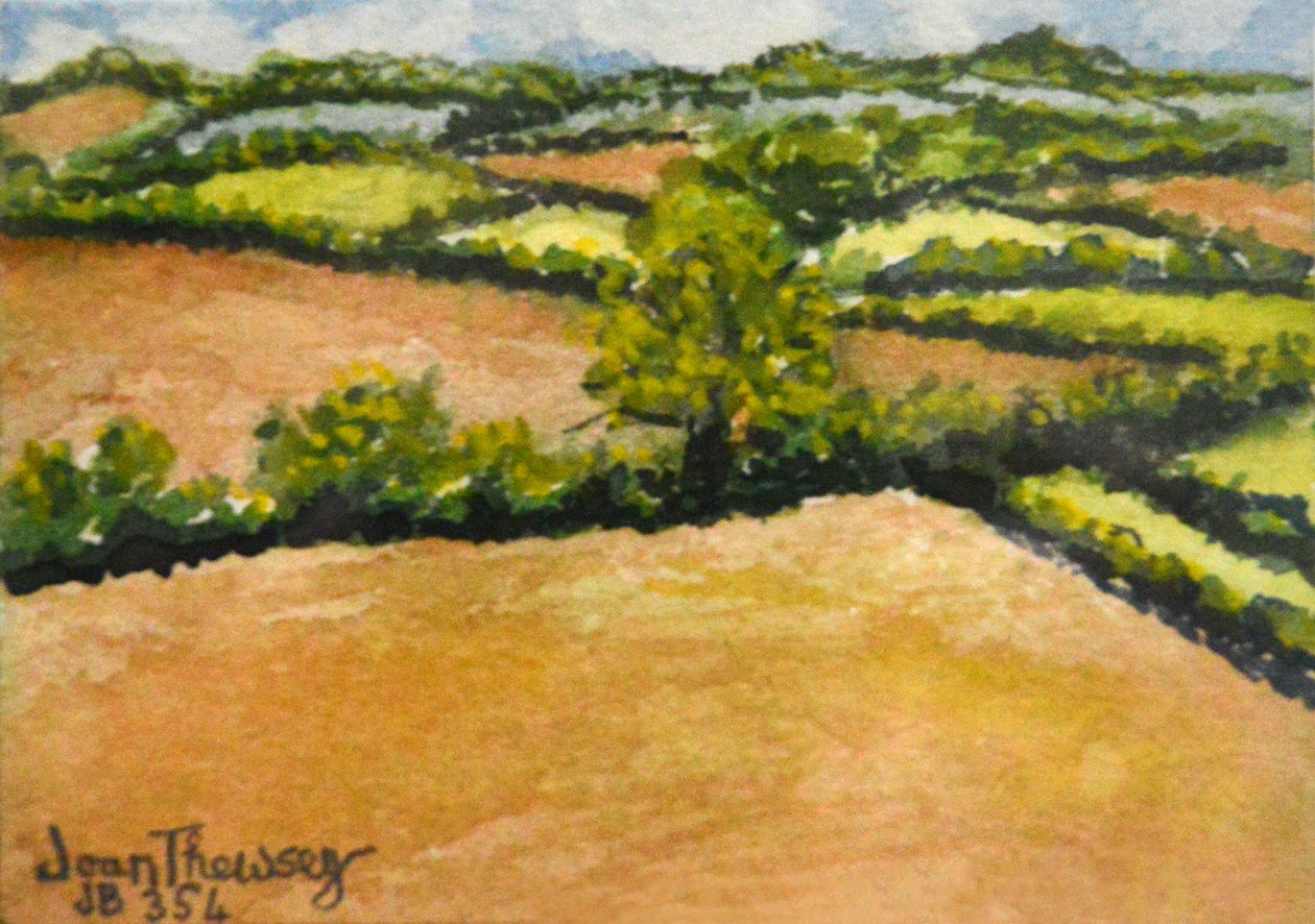 Paisagem Pequena De Suffolk, 2000 de Joan Thewsey