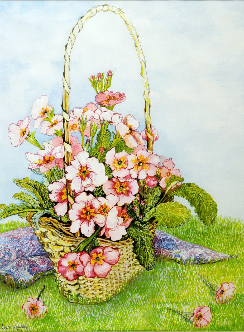 Prímulas-de-rosa em uma cesta de floristas com um lenço de Paisley, 2010, aquarela de Joan Thewsey