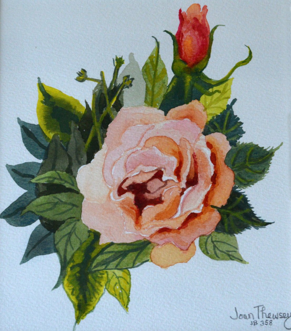 Rosa Rosa e Broto, 1986 ,, de Joan Thewsey