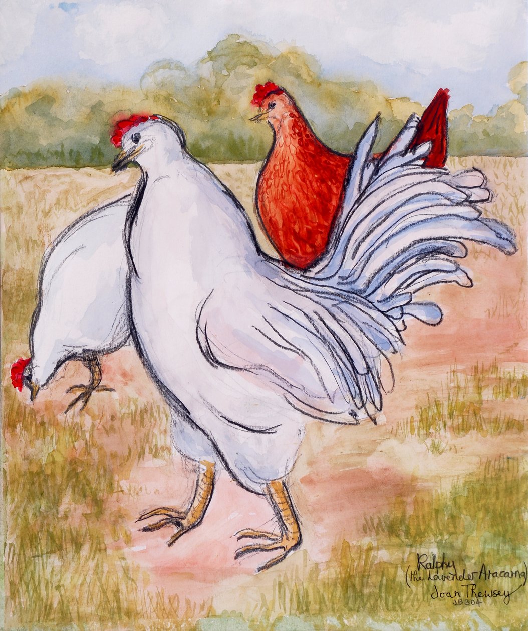 Ralphy, The Cockerel, 2005, (lápis e aguarela) de Joan Thewsey