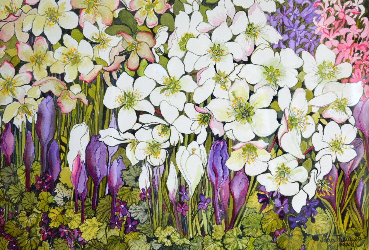 Fronteira da Primavera: Hellebores, Crocus e Violetas, de Joan Thewsey