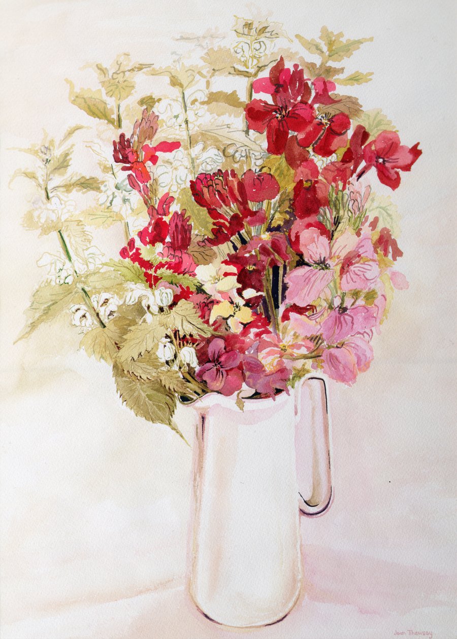 Natureza Morta com Deadnettles e Wallflowers (aguarela sobre papel) de Joan Thewsey
