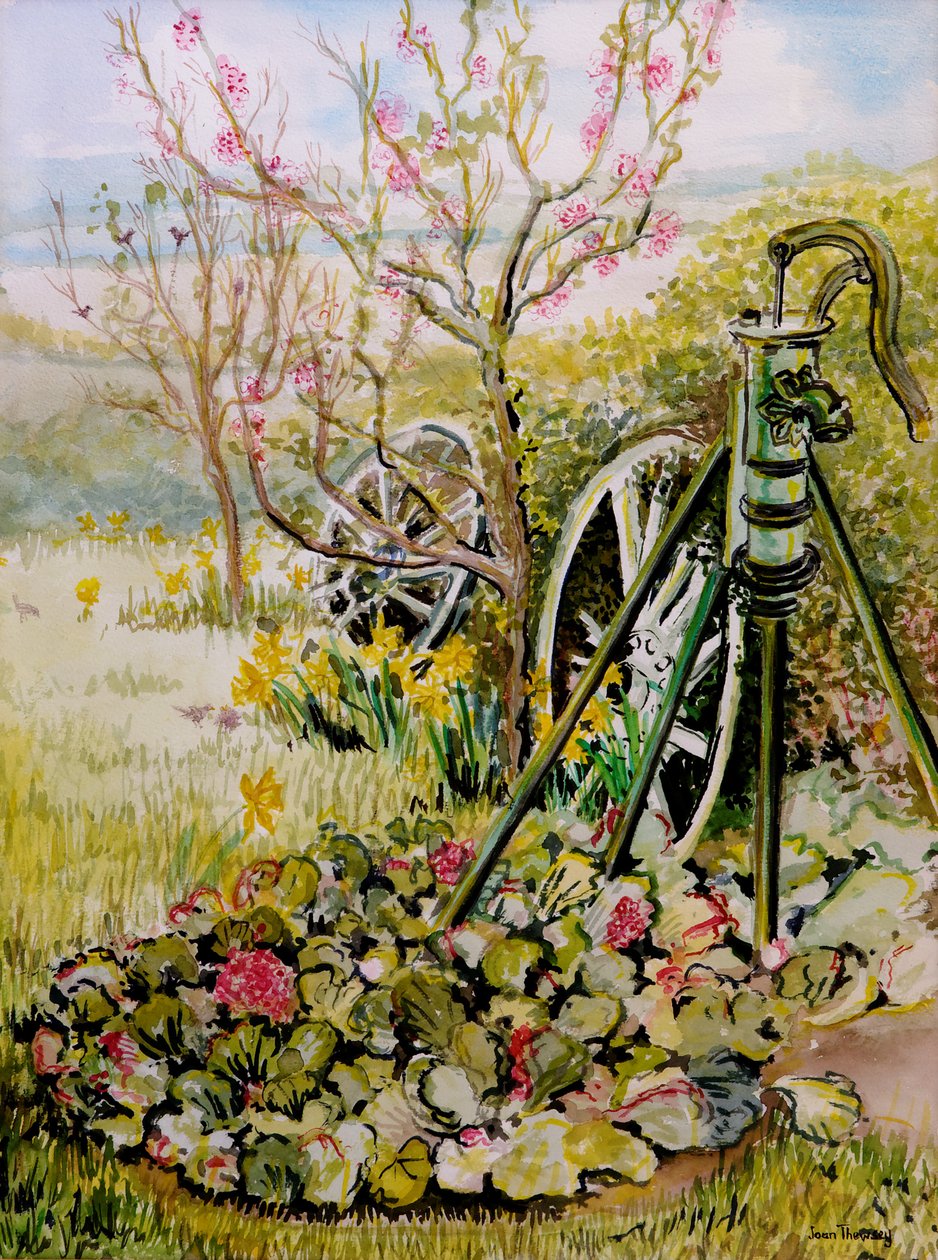 A bomba de jardim, 2010, aquarela de Joan Thewsey