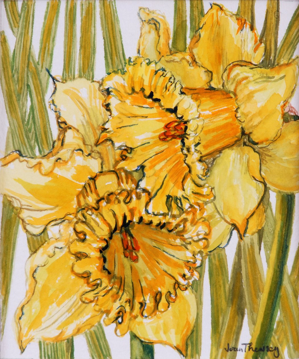 Two Daffodils, 2001, water coloured on hand made paper de Joan Thewsey