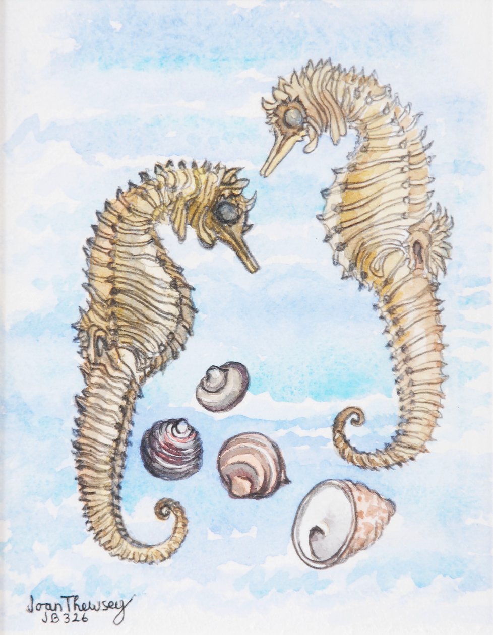 Dois cavalos-marinhos, com conchas, 2000, (lápis e aquarela) de Joan Thewsey