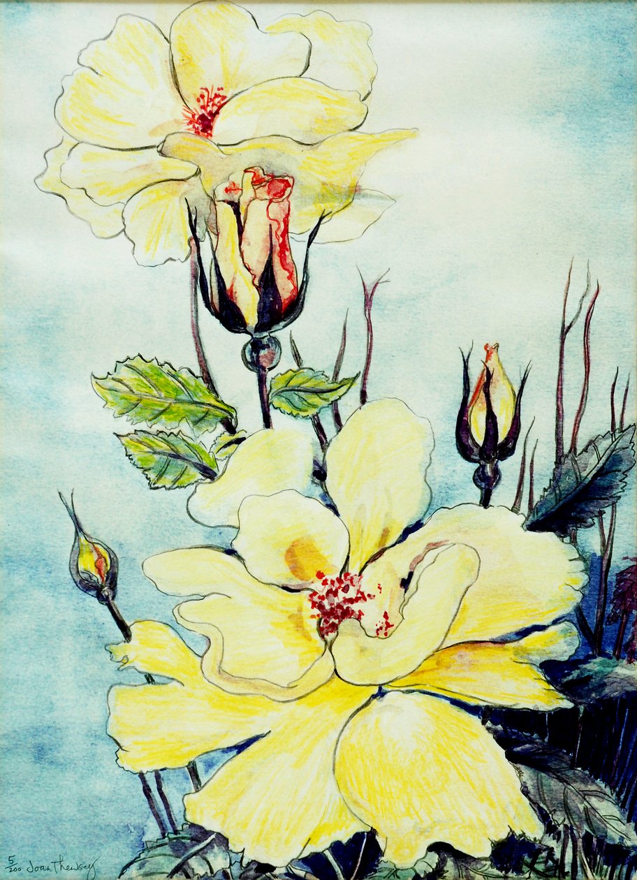 Rosa amarela em uma brisa de Suffolk, 2005, (cor de água) de Joan Thewsey