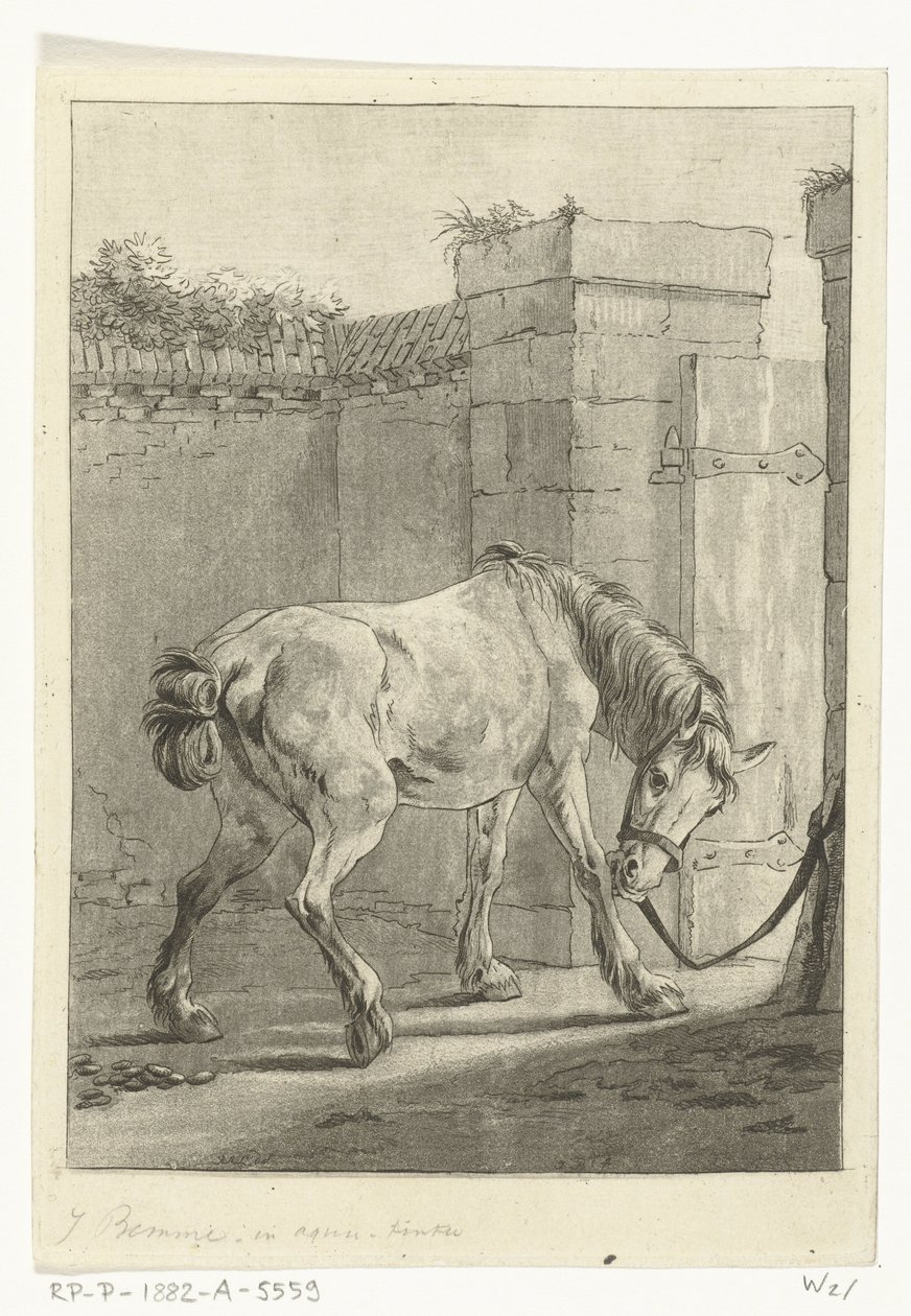Um cavalo amarrado a um poste de Joannes Bemme